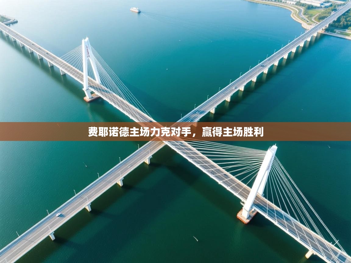 费耶诺德主场力克对手，赢得主场胜利  第1张