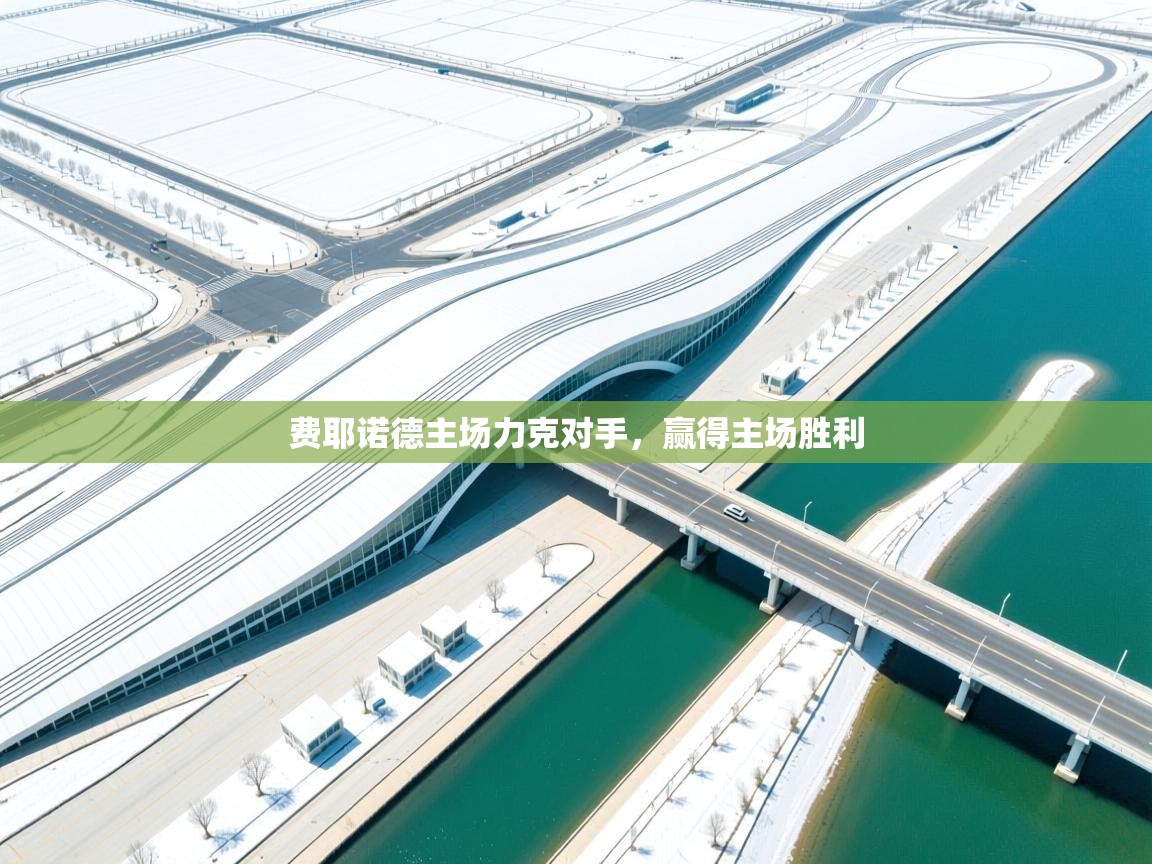 费耶诺德主场力克对手，赢得主场胜利  第2张
