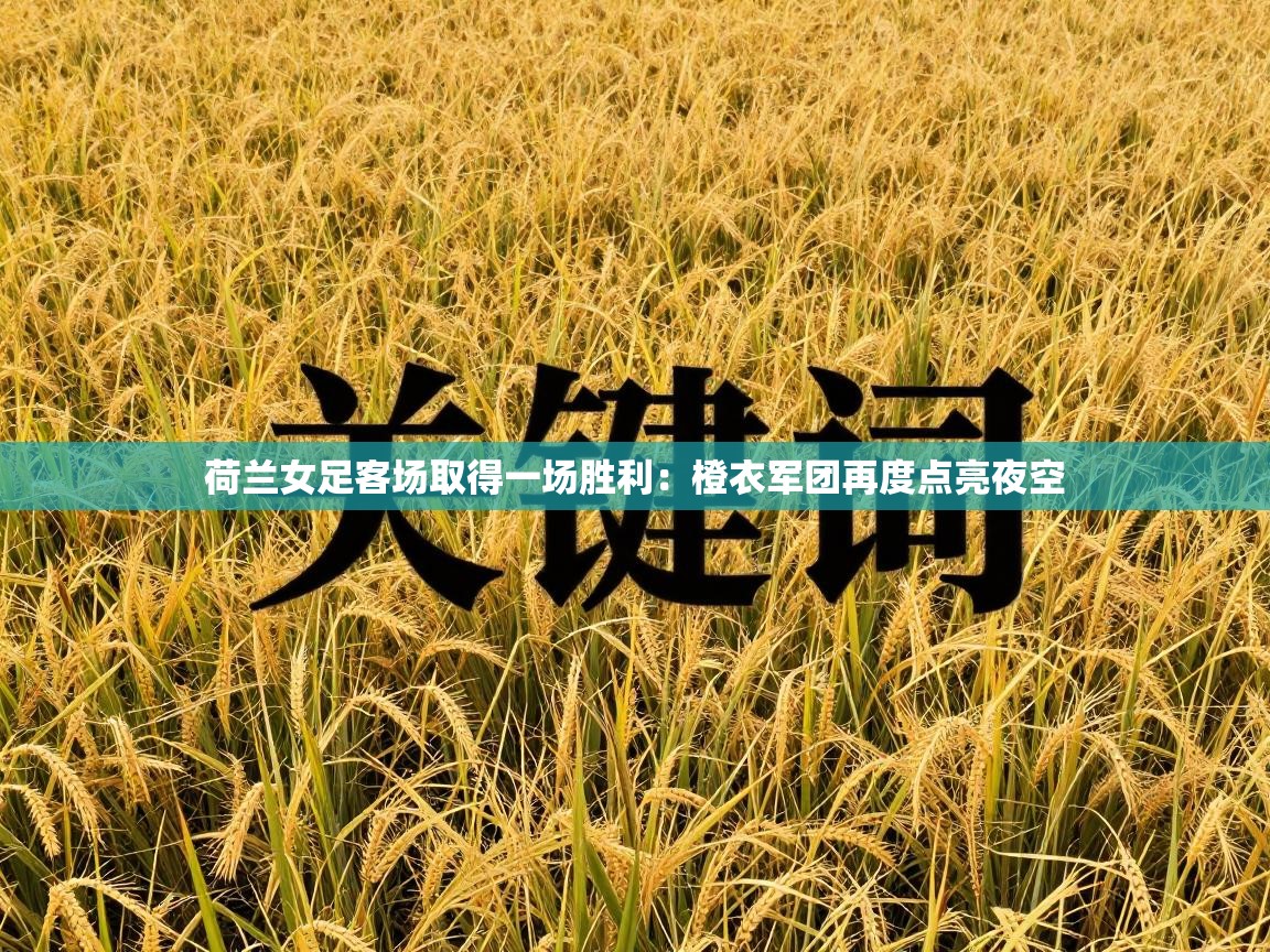 荷兰女足客场取得一场胜利:橙衣军团再度点亮夜空 第2张